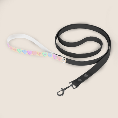 Cute Dog Leash